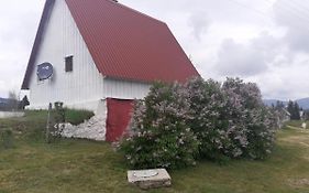 Zabljak Izdavanje Kuce